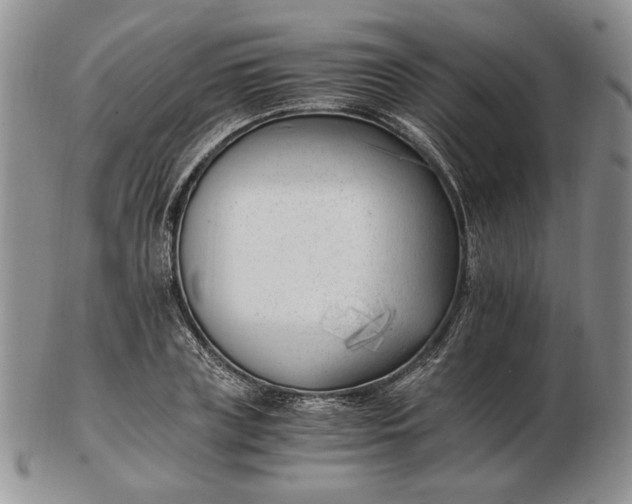 X0000102760835200809021005