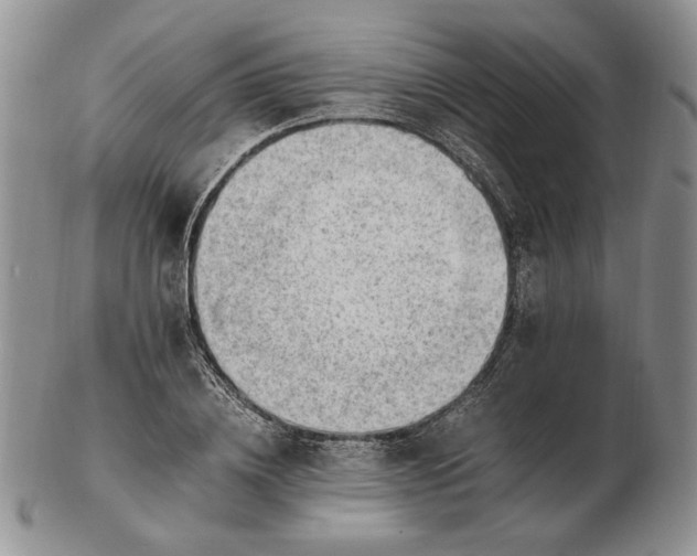 X0000102760836200809021005