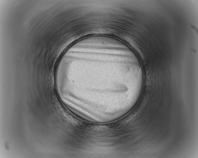 X0000102760837200809021005