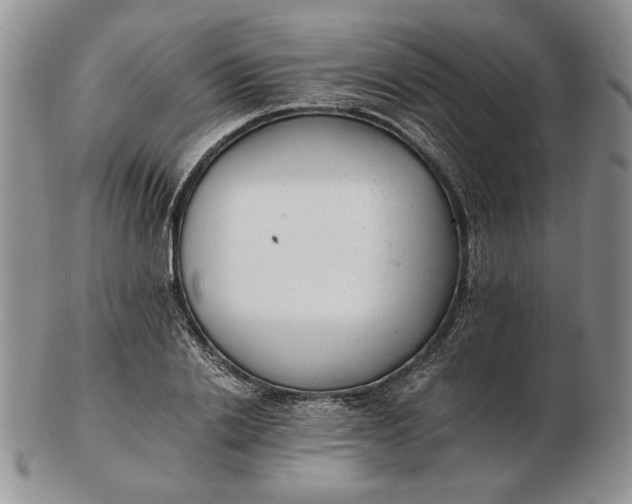 X0000102760838200809021005