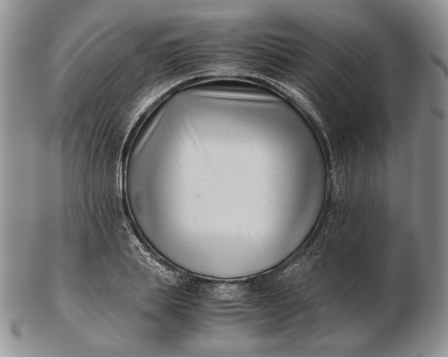 X0000102760839200809021005