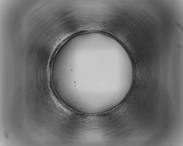 X0000102760840200809021005