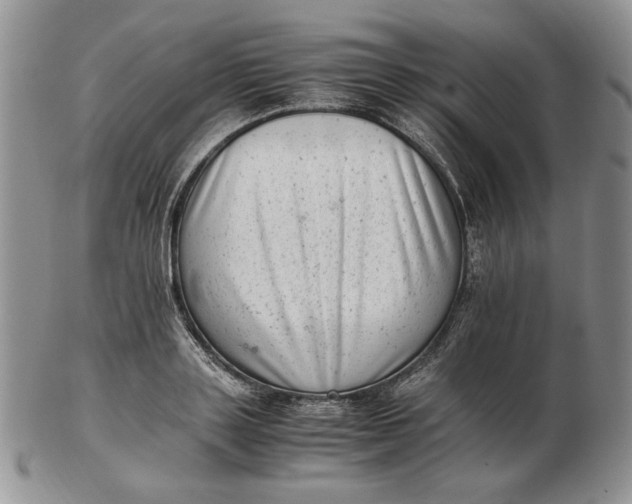 X0000102760843200809021005