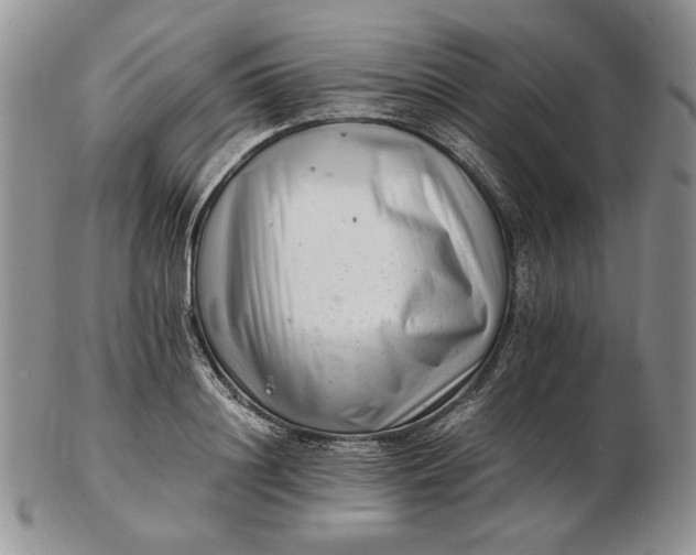 X0000102760844200809021005