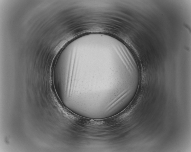 X0000102760845200809021006