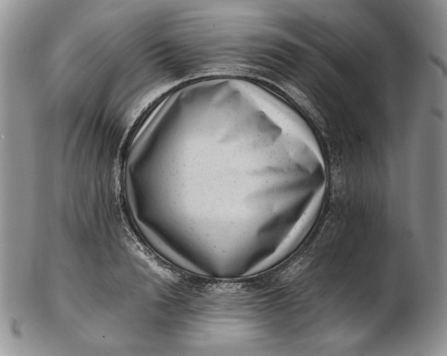 X0000102760846200809021006