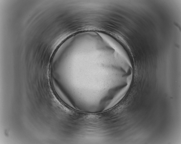 X0000102760847200809021006