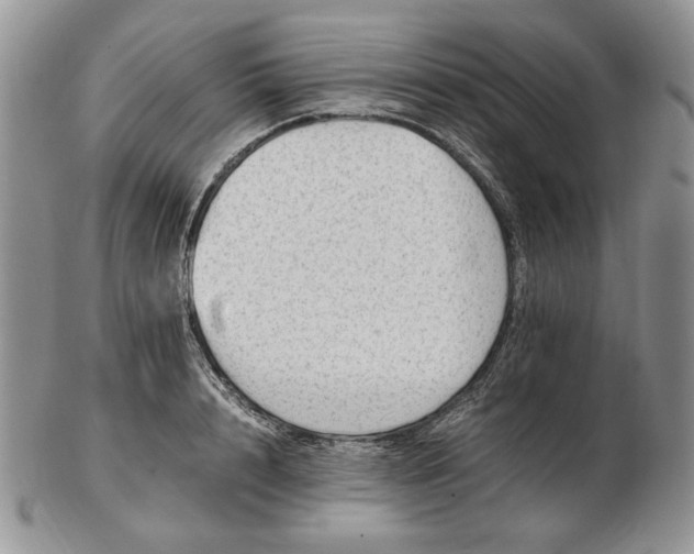 X0000102760848200809021006