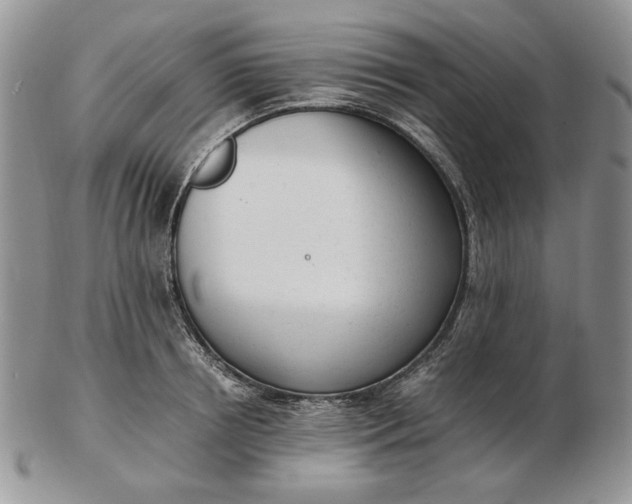 X0000102760850200809021006