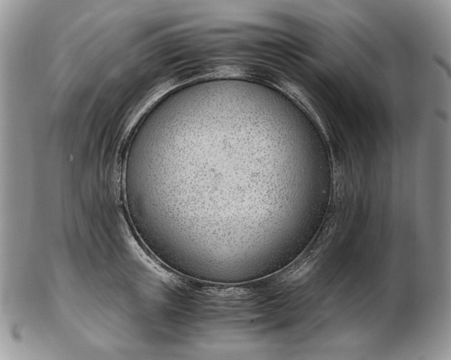 X0000102760851200809021006