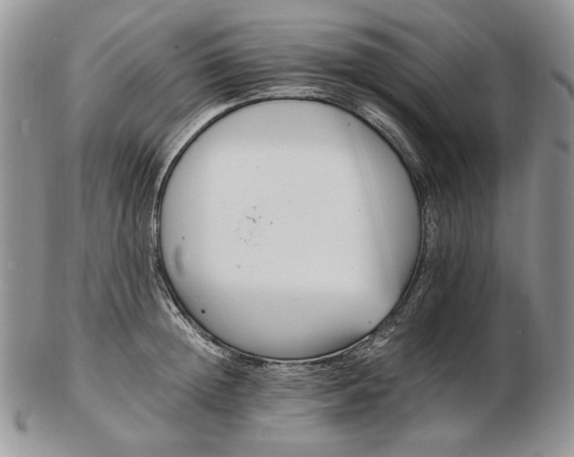 X0000102760852200809021006