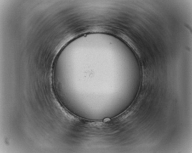 X0000102760853200809021006