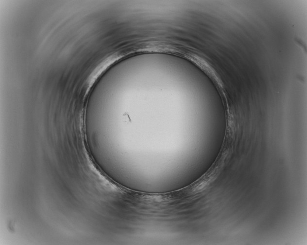 X0000102760855200809021006