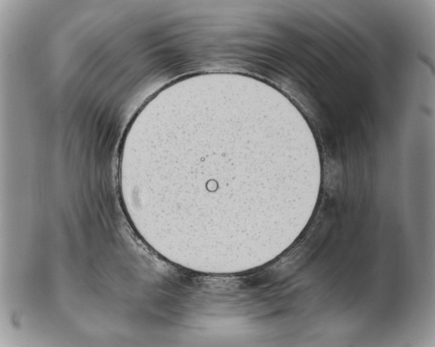 X0000102760856200809021006