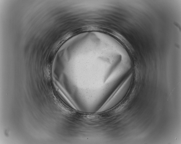 X0000102760857200809021006