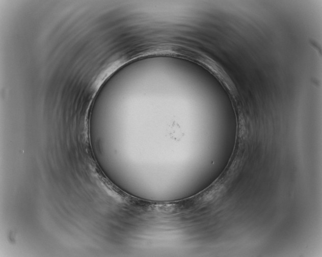 X0000102760858200809021006