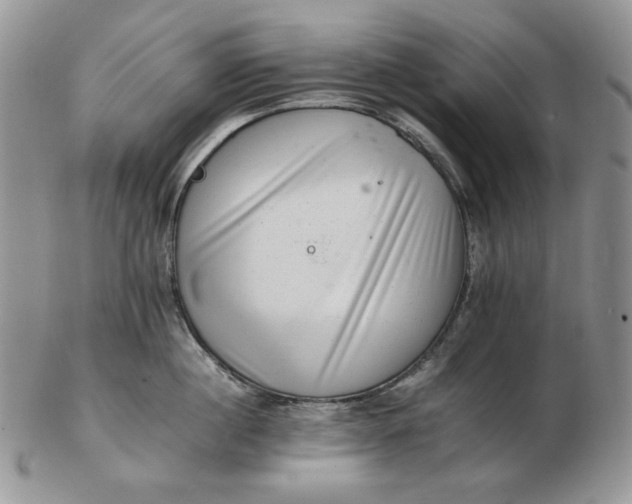 X0000102760860200809021006