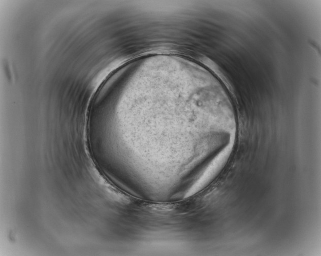 X0000102760861200809021006