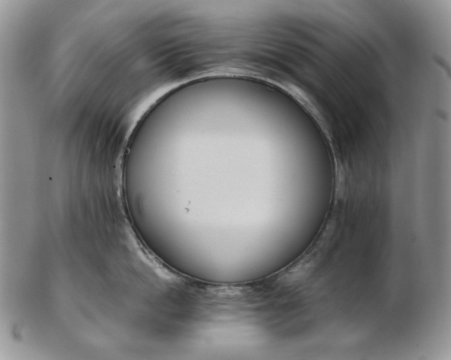 X0000102760862200809021006