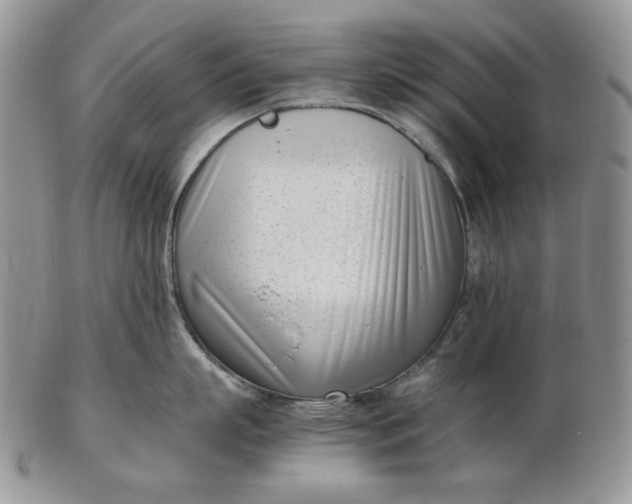 X0000102760863200809021006