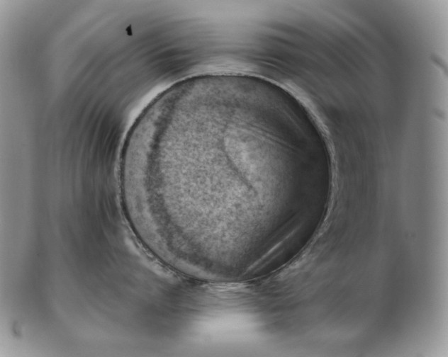 X0000102760864200809021006