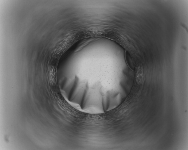 X0000102760866200809021005