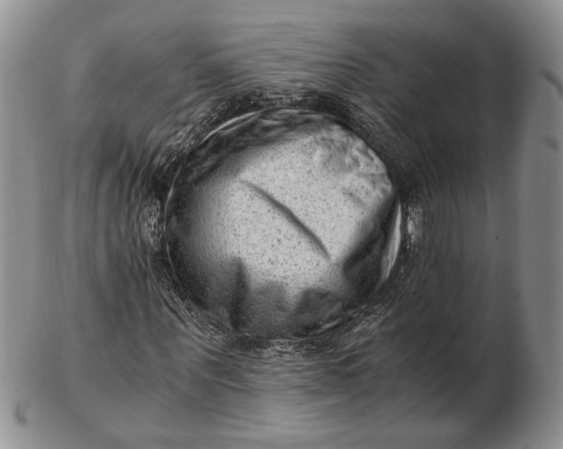 X0000102760867200809021005