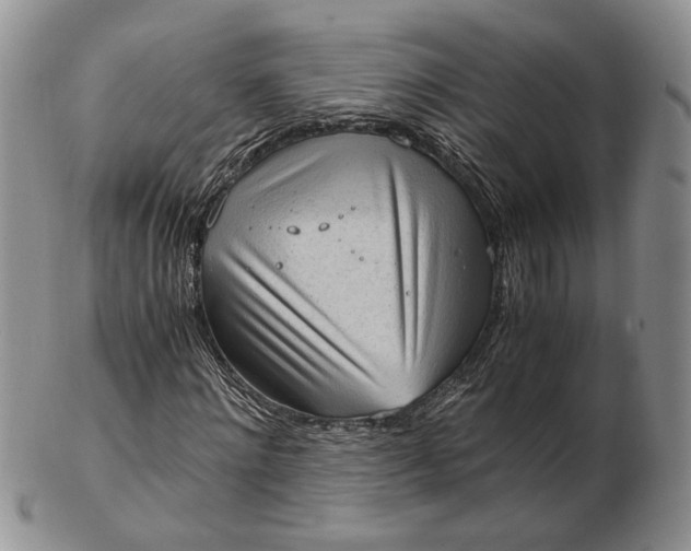 X0000102760868200809021005