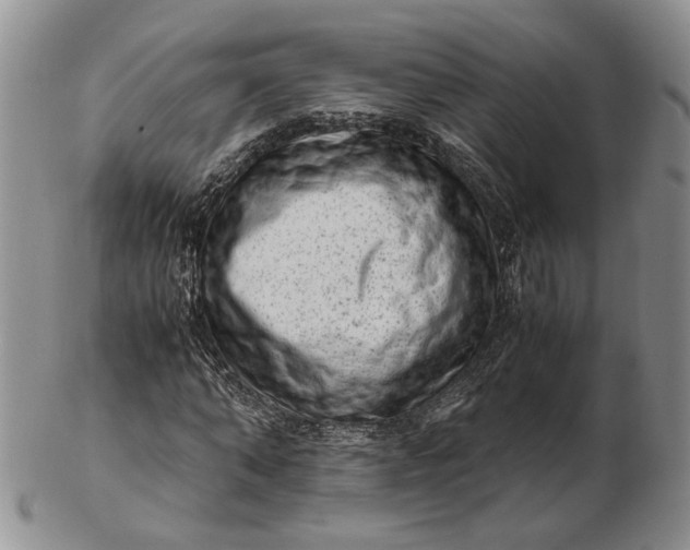 X0000102760870200809021005