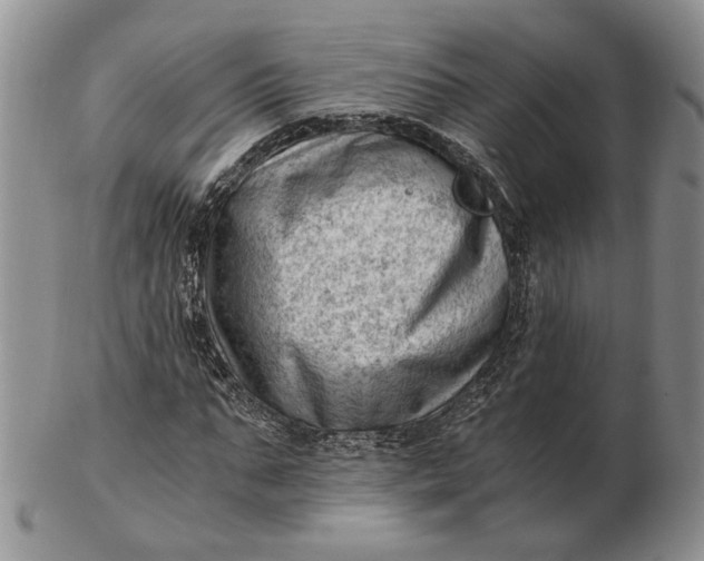 X0000102760871200809021005