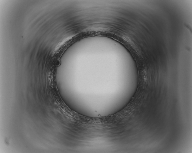 X0000102760872200809021005