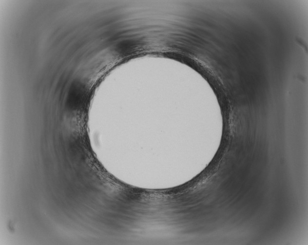 X0000102760873200809021005