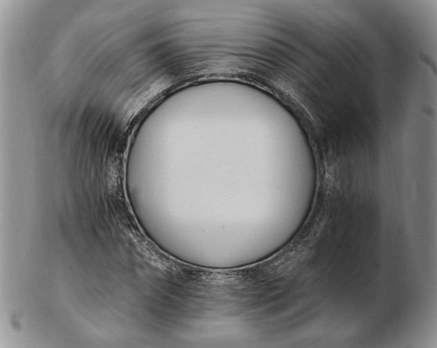 X0000102760874200809021005