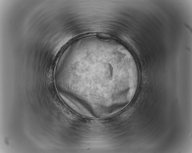 X0000102760875200809021005