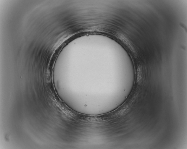 X0000102760876200809021005