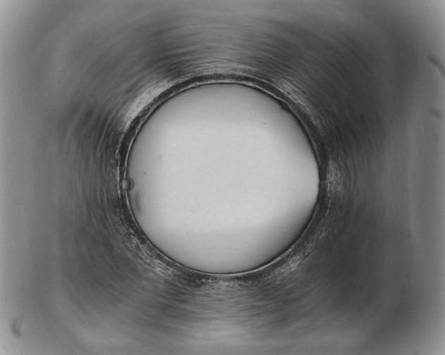 X0000102760877200809021005