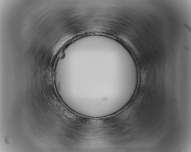 X0000102760878200809021005