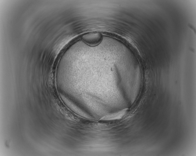 X0000102760879200809021005