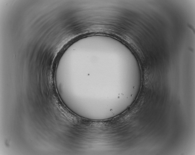 X0000102760880200809021005