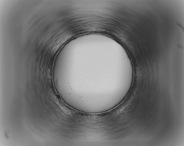 X0000102760881200809021005