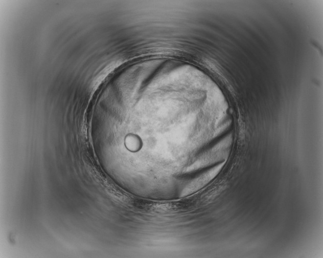 X0000102760883200809021005