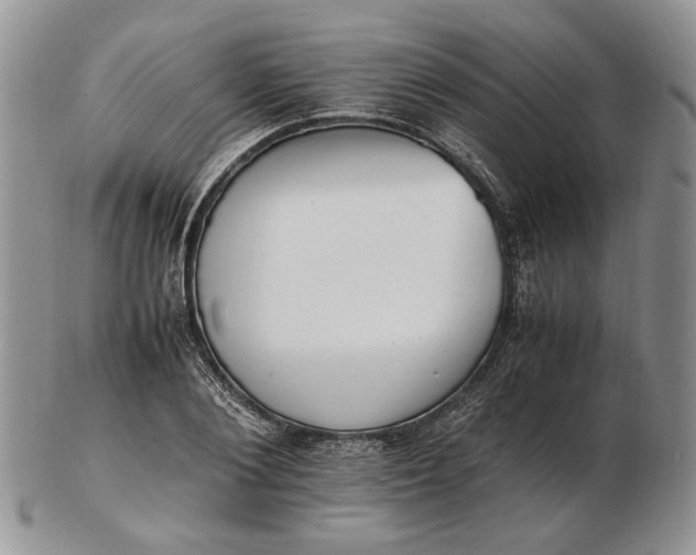 X0000102760884200809021005