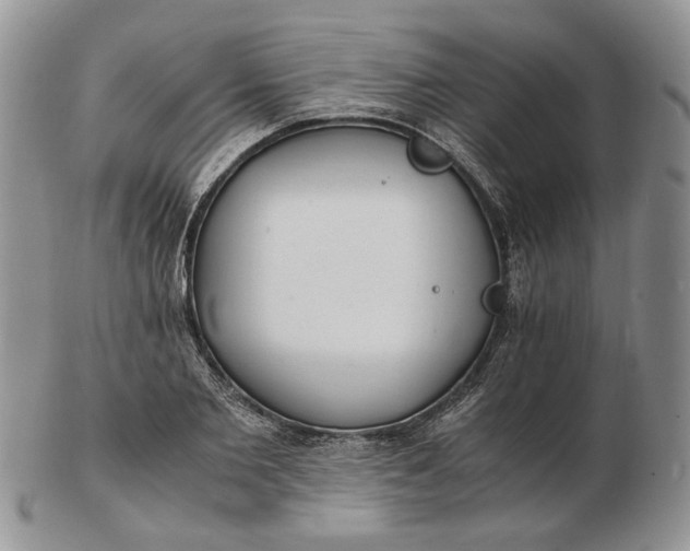 X0000102760885200809021005