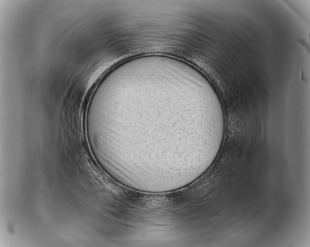 X0000102760886200809021005