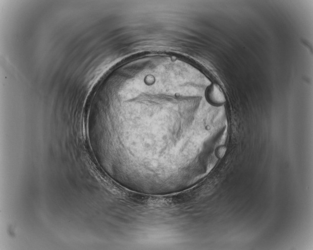 X0000102760887200809021005