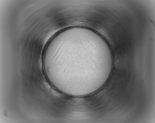 X0000102760888200809021005