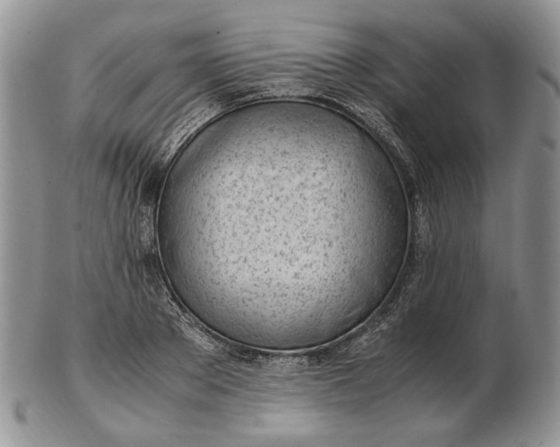 X0000102760889200809021005