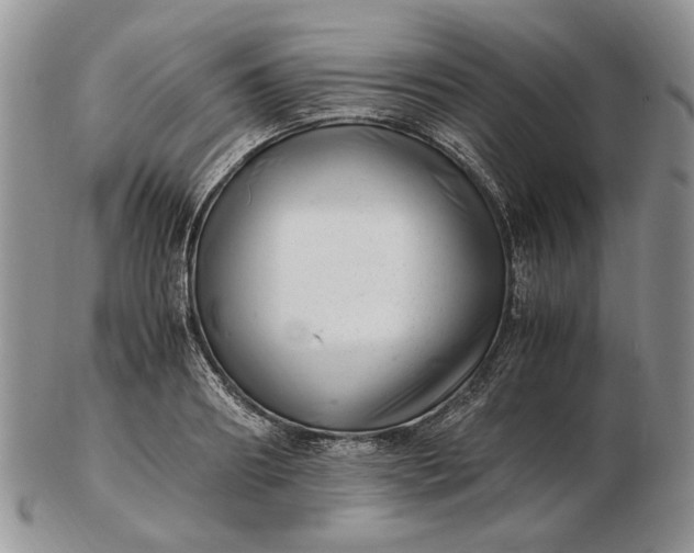 X0000102760890200809021005