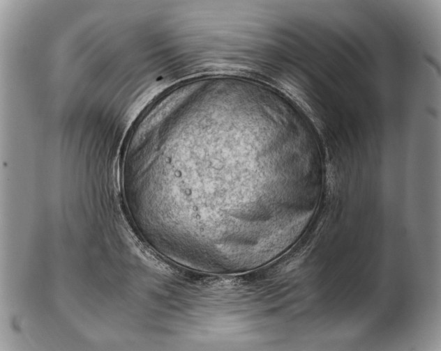 X0000102760891200809021005