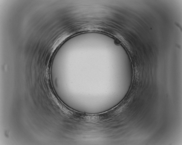 X0000102760893200809021005